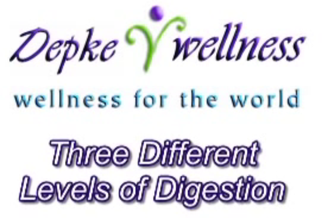 Depke Wellness Three Levels of Nutrition